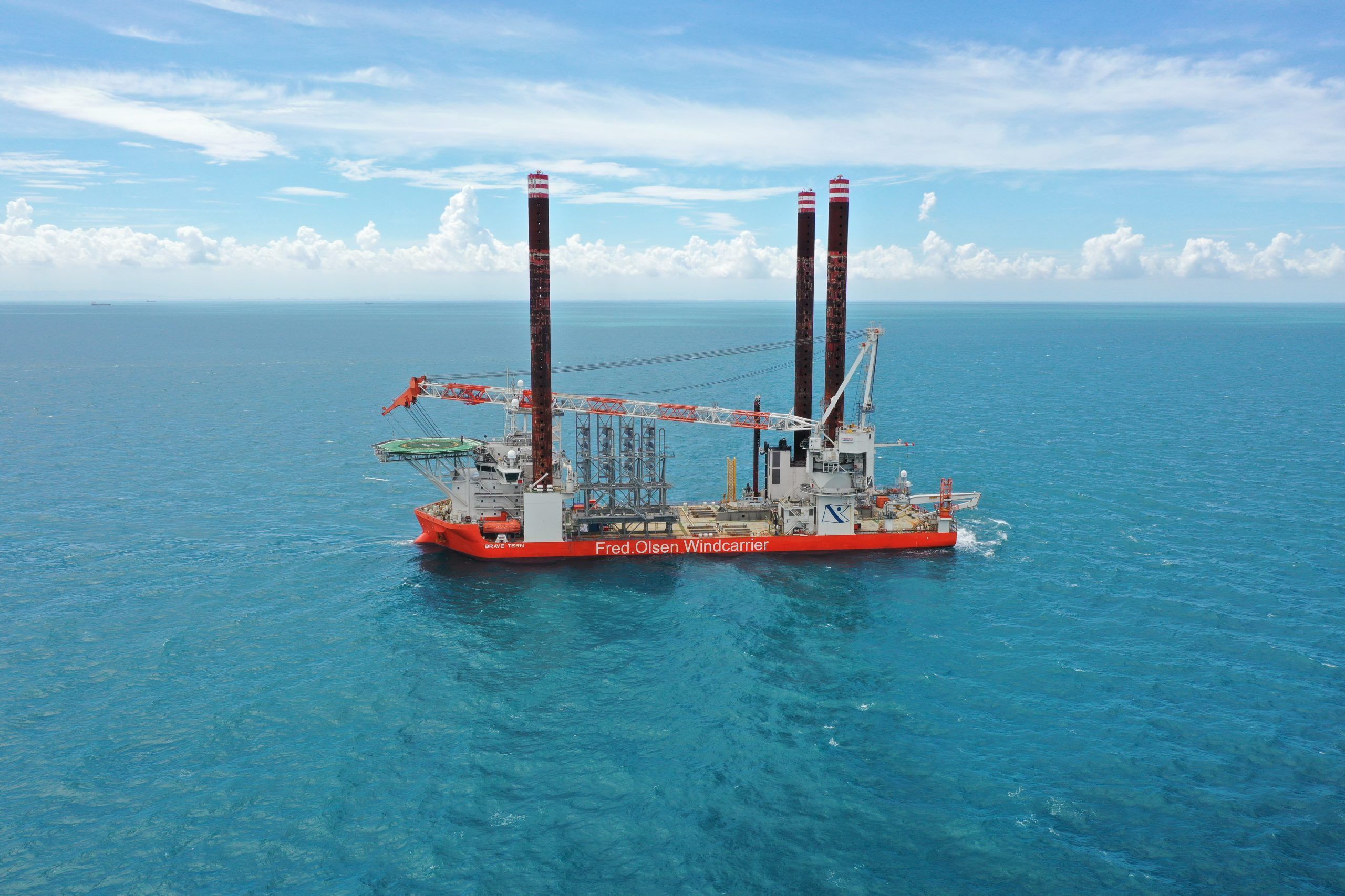 Brave Tern &#8211; 01 &#8211; HQ